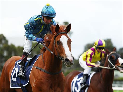 “Horse Racing News” .